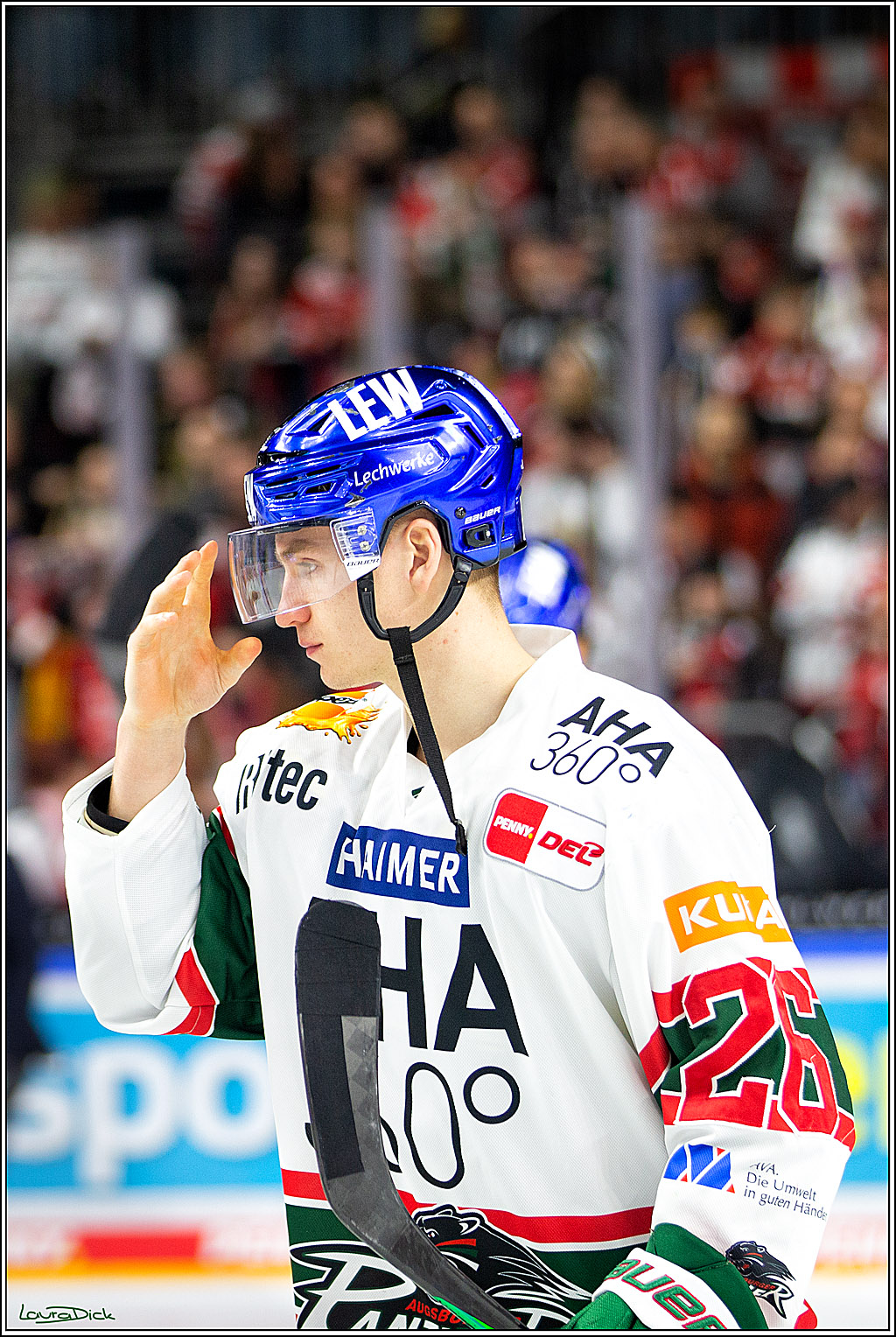 PENNY DEL; Koelner Haie- Augsburger Panther; Koeln, 20.12.2022